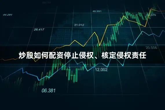 炒股如何配资停止侵权、核定侵权责任