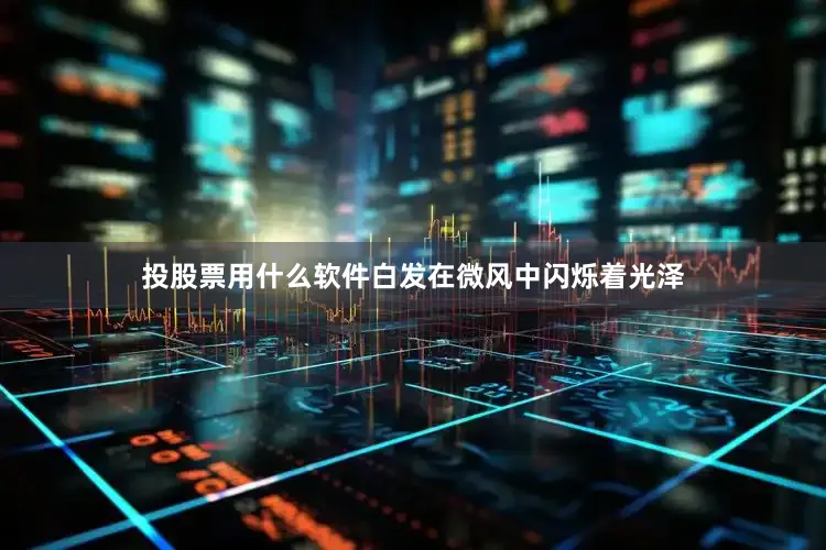 投股票用什么软件白发在微风中闪烁着光泽